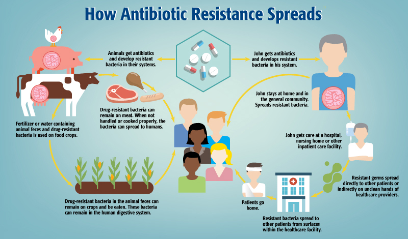 ANTIMICROBIAL RESISTANCE A GLOBAL THREAT Lesotho News Agency