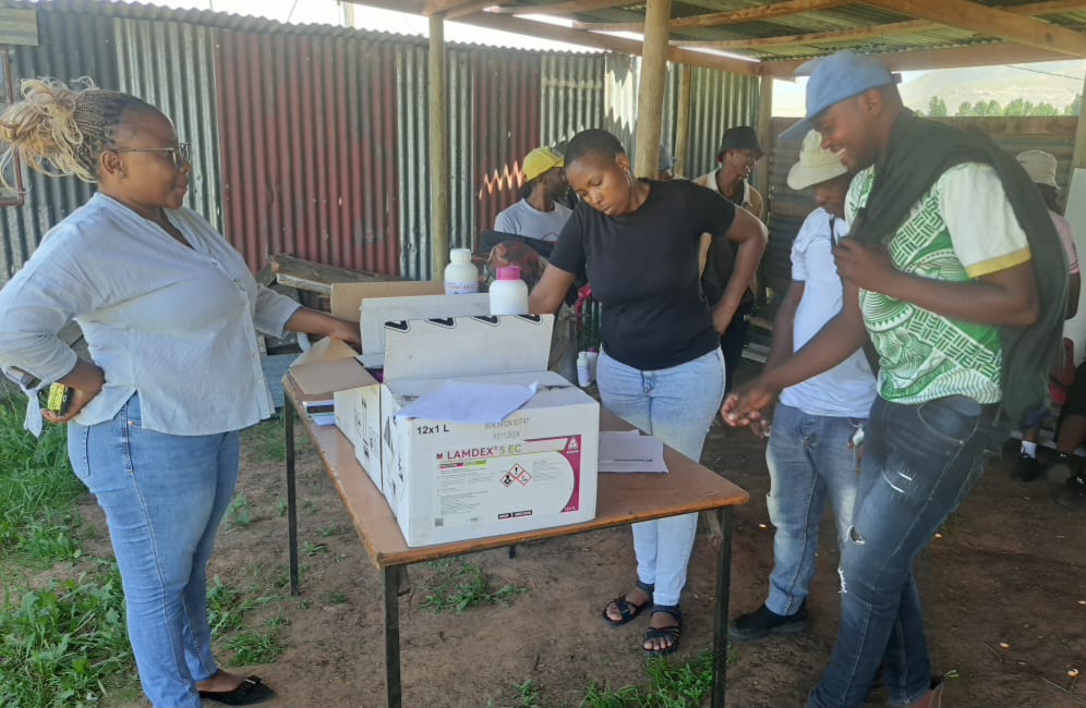 HUNDRED YOUTH FARMERS IN QACHA’SNEK RECEIVE SUPPORT