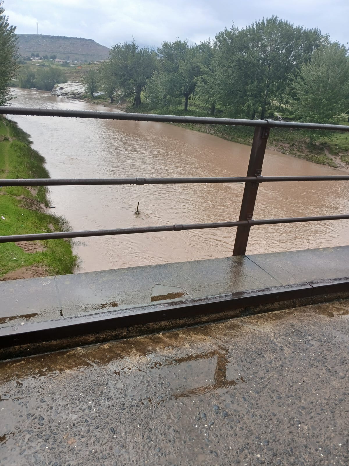 TRAVELERS URGED TO USE TELE BORDER FOR SAFETY