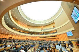 SEVEN EXPERTS ELECTED TO SERVE ACERWC