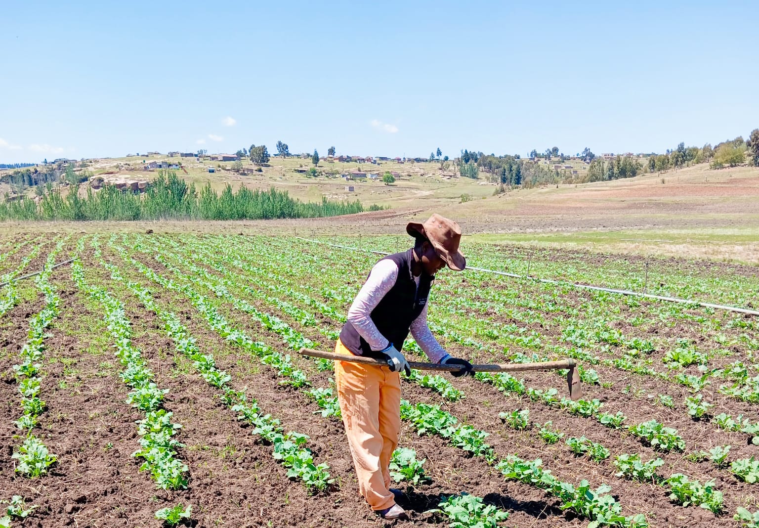 GRADUATES THRIVE THROUGH SKILLS LEARNED AT SCHOOL