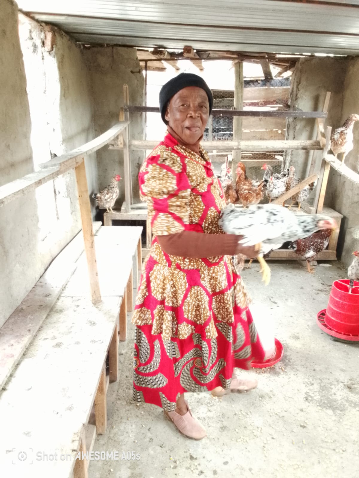 BRIDGE, DEVELOPMENT TO COMMUNITY 