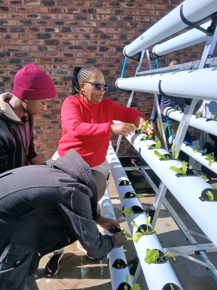 ABIA HIGH SCHOOL INSTALLS HYDROPONIC SYSTEM