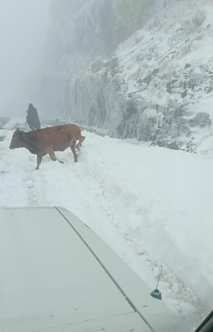 SNOW, SEVERE COLD EXPECTED IN THE HIGHLANDS