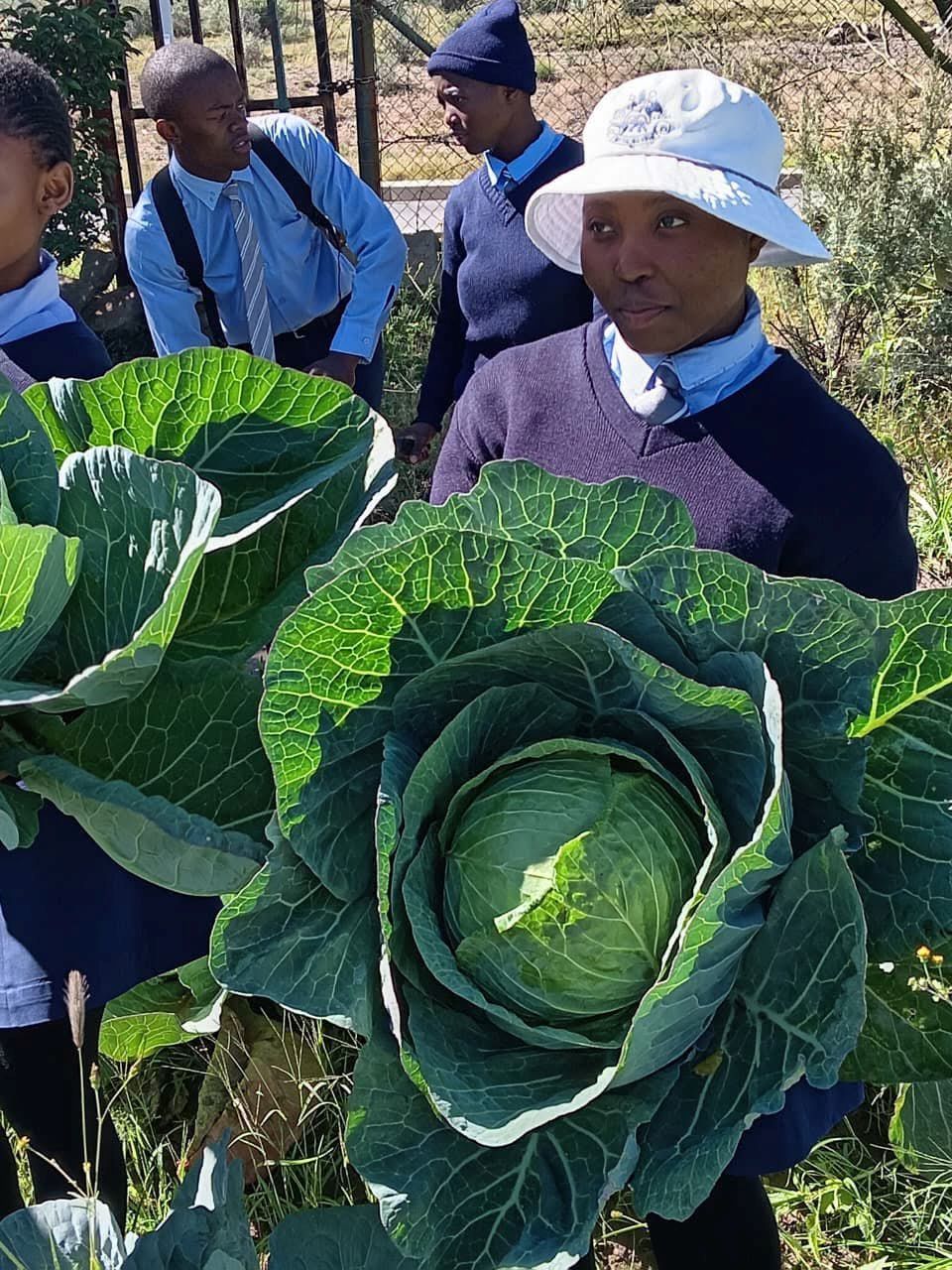 SCHOOLS BOOST AGRICULTURAL PRODUCTION TO IMPROVE NUTRITION